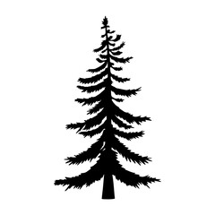 Isolated Pine on the white background.Pine silhouettes. Tree hand drawn.Vector EPS 10.