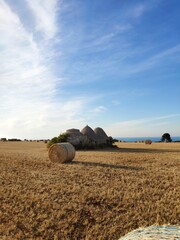 Costa Ripagnola - Polignano a Mare 