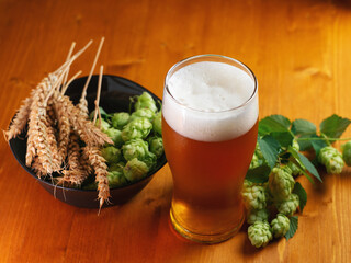 Cold light beer in a glass with wheat and hops on a wooden table. concept of Oktoberfest