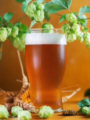 Refreshing glass of craft beer IPA with hops