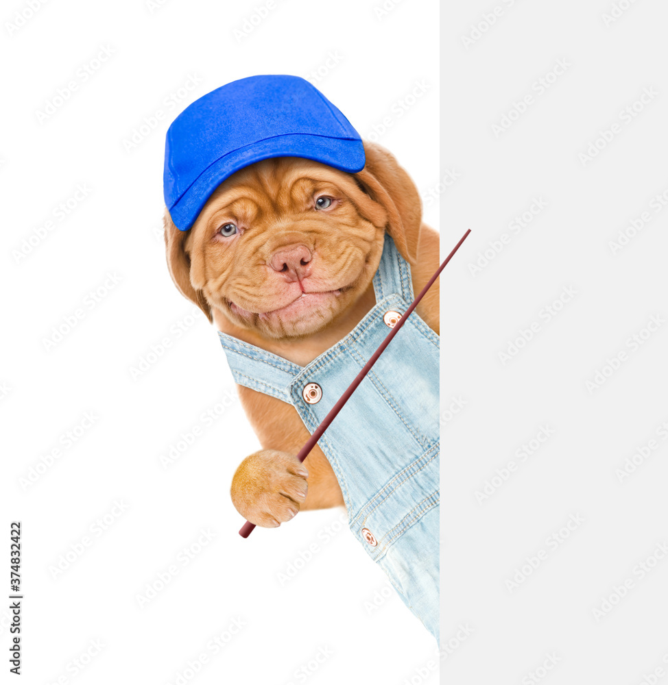 Poster dog worker wearing blue cap and overalls points on empty white banner. isolated on white background