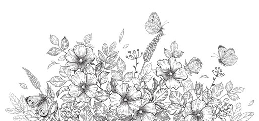 Hand Drawn Wild Flowers, Dog-Rose and Butterflies - 374832635