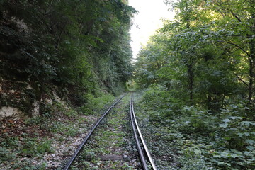 railway in the forest