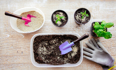 Mixing vermiculite granules pellets with black gardening soil improves water retention, airflow,...