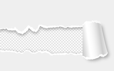 Ripped paper with torn sides over transparent background with space for text and shadow. Realistic vector rough teared page for web banner and print advertising