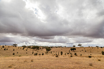 Fototapeta na wymiar landscape in the district Alentejo, Portugal