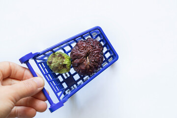 rotten apples lie in baskets from the supermarket on a white background