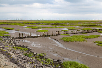 Ebbe an der Nordsee