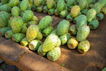 Sidi Bel Abbés.Marrakech.Ciudad Imperial.Marruecos.Africa.
