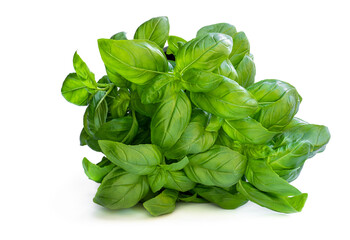 Basil herbs in pot isolated on white background