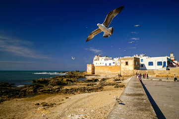 Muralla portuguesa(s.XVIII).Essaouira (mogador). Costa Atlantica. Marruecos. Magreb. Africa.