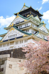 Osaka Castle in Sakura Season