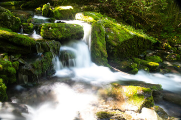 Water flow in a mossy valley