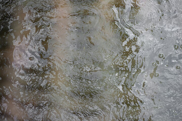 River water surface