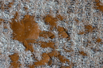 Peeling paint on the wall. Old concrete wall with cracked flaking paint. Weathered rough painted surface with patterns of cracks and peeling. Grunge texture for background and design. High resolution.