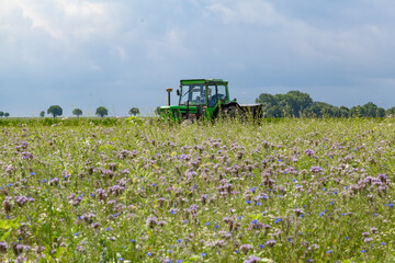 Traktor auf Wiese