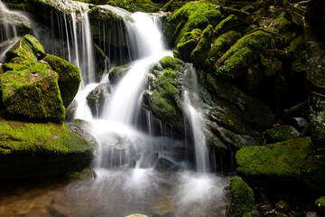 Water flow in a mossy valley