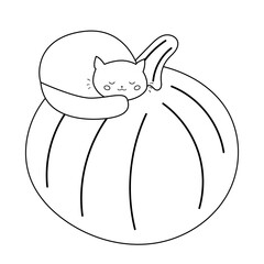 Cute kawaii cat is sleeping on big pumpkin. Halloween cartoon illustration for kids. Coloring page for preschoolers.