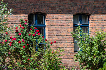 Fototapeta na wymiar Old House with Flowers