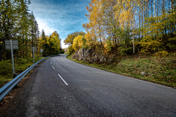 road in autumn
