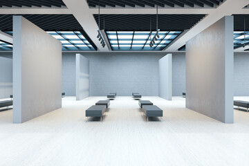 Modern gallery hall with many bench and blank walls.