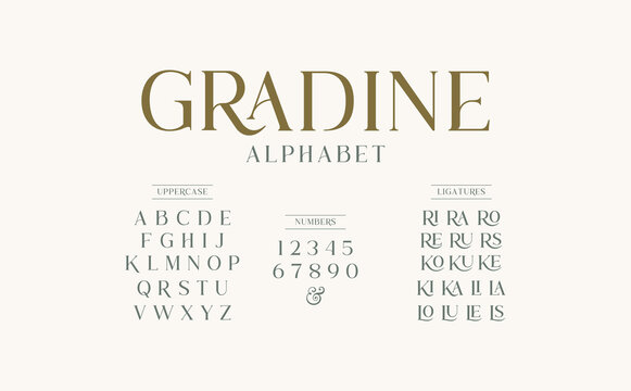 Classic typography elegant. Alphabet and numbering  uppercase. Vector illustration word.