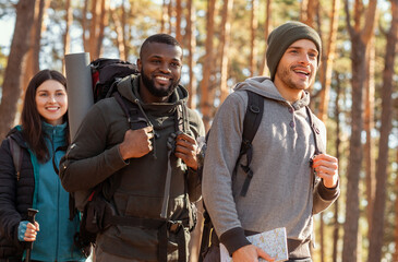International group of backpackers going by forest