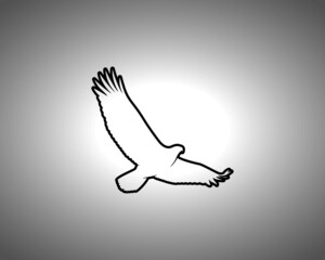 Eagle Silhouette on White Background. Isolated Vector Animal Template for Logo Company, Icon, Symbol etc