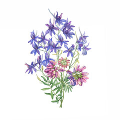 Bouquet with wild purple crown vetch, larkspur flowers. Watercolor hand drawn painting illustration isolated on white background