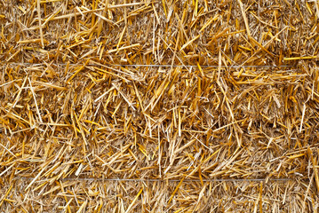 The texture of the yellow hay. The dry grass is collected in the drainage of the hay.