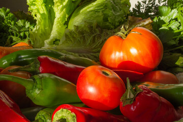 Bright fresh vegetables. Red tomatoes, green peppers, chili peppers, lettuce. Ingredients for the salad. Vegan diet and raw food diet. Hard shadows from the sun.
