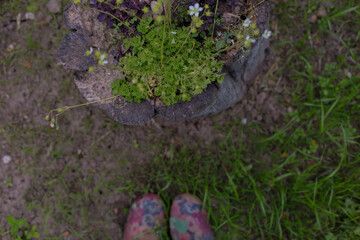 Working day in a garden
