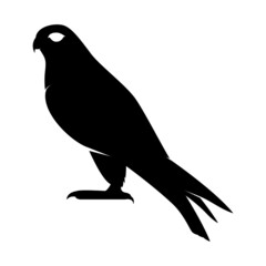 Falcon Silhouette on White Background. Isolated Vector Animal Template for Logo Company, Icon, Symbol etc