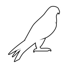 Falcon Silhouette on White Background. Isolated Vector Animal Template for Logo Company, Icon, Symbol etc