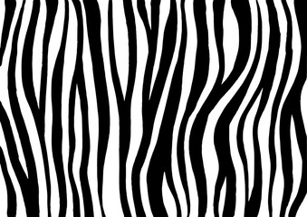 Zebra print, animal skin, tiger stripes, abstract pattern, line background, fabric. Amazing hand drawn vector illustration. Poster, banner. Black and white artwork, monochrome