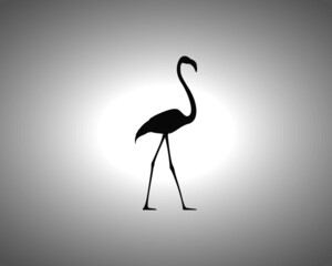 Flamingo Silhouette on White Background. Isolated Vector Animal Template for Logo Company, Icon, Symbol etc