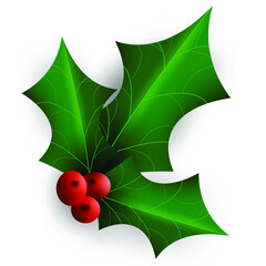 Christmas holly  berry leaf illustration on white background