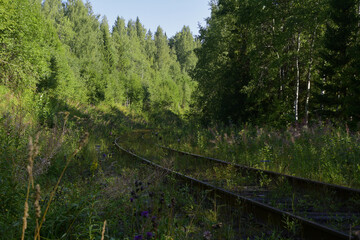 Old railway track Chusovskaya - Kuzino highway near the Nevidimka station of the Sverdlovsk...