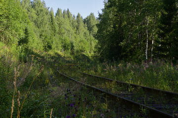 Old railway track Chusovskaya - Kuzino highway near the Nevidimka station of the Sverdlovsk railway. Lysvensky district, Perm region.