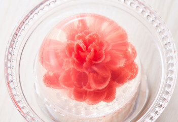 フラワーゼリー【カーネーション 】