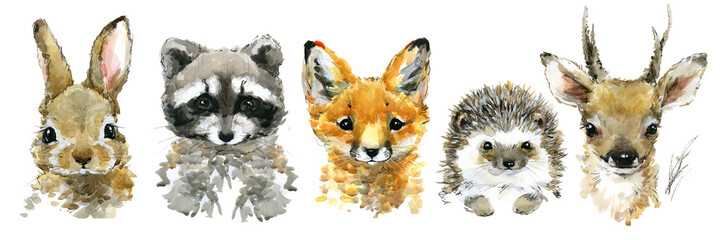 cute funny little animals watercolor set - 374850644