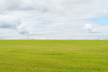 Landscape view with green hilly meadow in the foreground and cloud sky in the background.