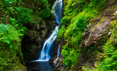 waterfall in the forest