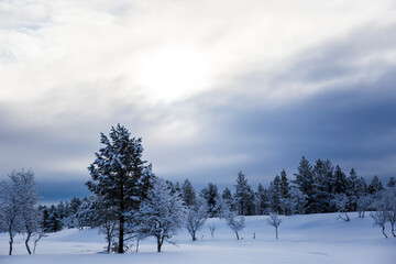 Obraz na płótnie Canvas Winter landscape in Nuorgam, Lapland, Finland
