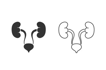 Urinary system vector line icon set isolated white background