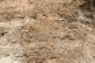 Texture and background of earth and stone