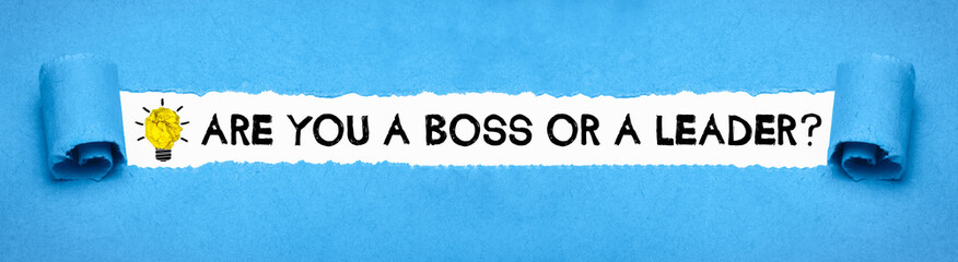Are you a Boss or a Leader?