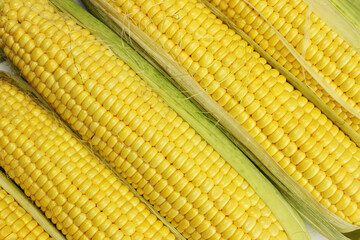 Grains of ripe corn background, texture