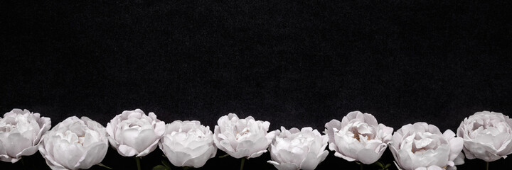 Fresh white roses on dark black table background. Flower wide banner. Condolence card. Empty place for emotional, sentimental text, quote or sayings. Closeup. Top down view.