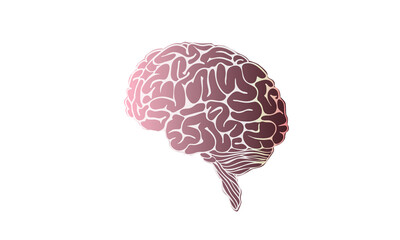 Human brain illustration, side view, vector